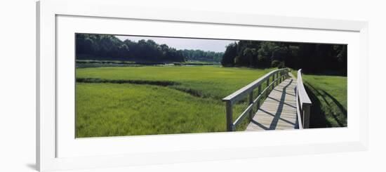 Boardwalk in a Field, Nauset Marsh, Cape Cod, Massachusetts, USA-null-Framed Photographic Print