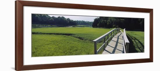 Boardwalk in a Field, Nauset Marsh, Cape Cod, Massachusetts, USA-null-Framed Photographic Print