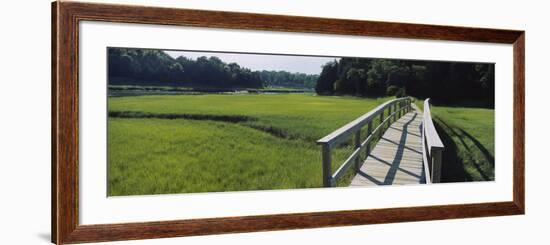 Boardwalk in a Field, Nauset Marsh, Cape Cod, Massachusetts, USA-null-Framed Photographic Print