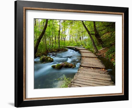 Boardwalk in the Park-silver-john-Framed Photographic Print