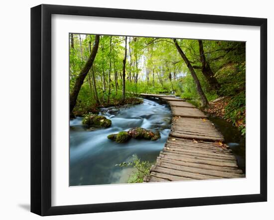 Boardwalk in the Park-silver-john-Framed Photographic Print