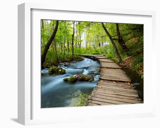 Boardwalk in the Park-silver-john-Framed Photographic Print