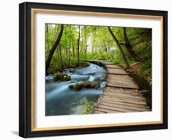 Boardwalk in the Park-silver-john-Framed Photographic Print