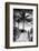 Boardwalk - Miami Beach - Florida - USA-Philippe Hugonnard-Framed Photographic Print