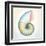 Boardwalk Nautilus-Elyse DeNeige-Framed Art Print