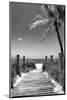 Boardwalk on the Beach - Florida-Philippe Hugonnard-Mounted Photographic Print