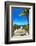 Boardwalk on the Beach - Florida-Philippe Hugonnard-Framed Photographic Print