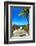 Boardwalk on the Beach - Florida-Philippe Hugonnard-Framed Photographic Print