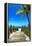 Boardwalk on the Beach - Florida-Philippe Hugonnard-Framed Premier Image Canvas