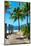 Boardwalk on the Beach - Key West - Florida-Philippe Hugonnard-Mounted Photographic Print
