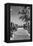 Boardwalk on the Beach - Key West - Florida-Philippe Hugonnard-Framed Premier Image Canvas