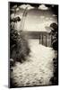 Boardwalk on the Beach - Miami - Florida-Philippe Hugonnard-Mounted Photographic Print