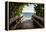 Boardwalk on the Beach-Philippe Hugonnard-Framed Premier Image Canvas