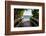 Boardwalk on the Beach-Philippe Hugonnard-Framed Premium Photographic Print