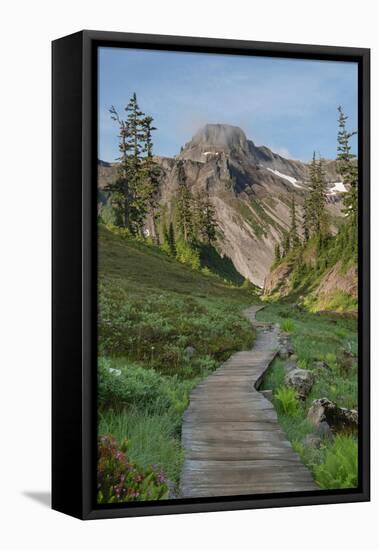 Boardwalk onBagley Loop Trail. Heather Meadows Recreation Area, North Cascades, Washington State-Alan Majchrowicz-Framed Premier Image Canvas