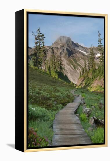 Boardwalk onBagley Loop Trail. Heather Meadows Recreation Area, North Cascades, Washington State-Alan Majchrowicz-Framed Premier Image Canvas