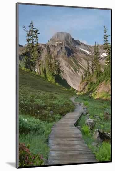 Boardwalk onBagley Loop Trail. Heather Meadows Recreation Area, North Cascades, Washington State-Alan Majchrowicz-Mounted Photographic Print