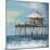 Boardwalk Pier-Liz Jardine-Mounted Art Print