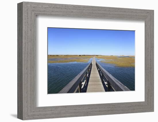 Boardwalk, Salt Marsh, Sandwich, Cape Cod, Massachusetts, New England, Usa-Wendy Connett-Framed Photographic Print