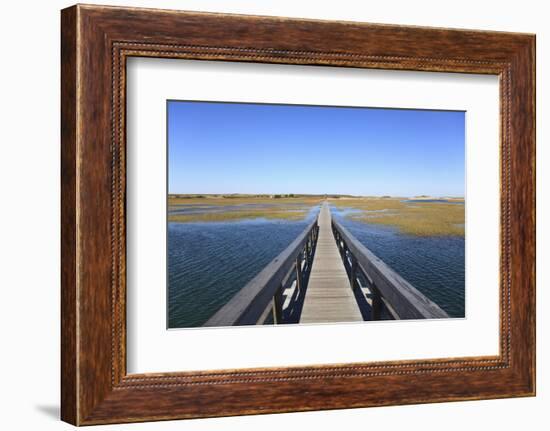 Boardwalk, Salt Marsh, Sandwich, Cape Cod, Massachusetts, New England, Usa-Wendy Connett-Framed Photographic Print