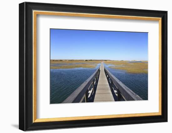 Boardwalk, Salt Marsh, Sandwich, Cape Cod, Massachusetts, New England, Usa-Wendy Connett-Framed Photographic Print