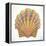 Boardwalk Scallop-Elyse DeNeige-Framed Stretched Canvas