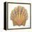 Boardwalk Scallop-Elyse DeNeige-Framed Stretched Canvas