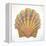 Boardwalk Scallop-Elyse DeNeige-Framed Stretched Canvas