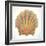 Boardwalk Scallop-Elyse DeNeige-Framed Art Print