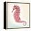 Boardwalk Seahorse-Elyse DeNeige-Framed Stretched Canvas