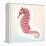 Boardwalk Seahorse-Elyse DeNeige-Framed Stretched Canvas