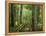 Boardwalk Through Forest of Bald Cypress Trees in Corkscrew Swamp-James Randklev-Framed Premier Image Canvas
