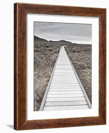 Boardwalk through the desert-David Madison-Framed Photographic Print