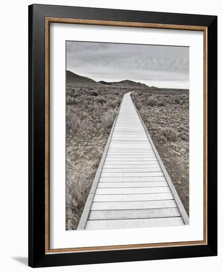 Boardwalk through the desert-David Madison-Framed Photographic Print