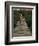 Boardwalk to Surf from Cabinas Las Olas, Avellanas Beach, Guanacaste State, Northwest, Costa Rica-Aaron McCoy-Framed Photographic Print