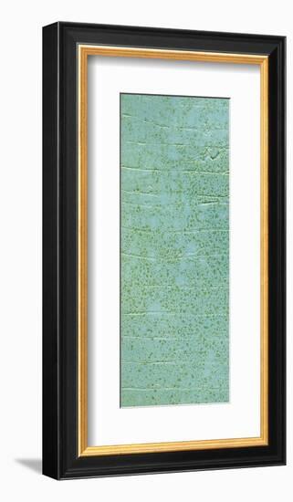 Boardwalk VI-Grant Louwagie-Framed Giclee Print