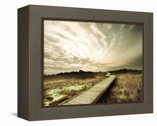 Boardwalk Winding over Sand and Brush-Jan Lakey-Framed Premier Image Canvas