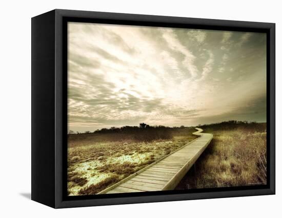 Boardwalk Winding over Sand and Brush-Jan Lakey-Framed Premier Image Canvas