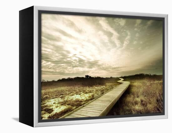 Boardwalk Winding over Sand and Brush-Jan Lakey-Framed Premier Image Canvas