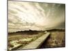 Boardwalk Winding over Sand and Brush-Jan Lakey-Mounted Photographic Print