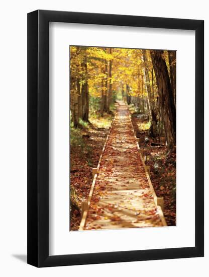 Boardwalk-Michael Hudson-Framed Art Print