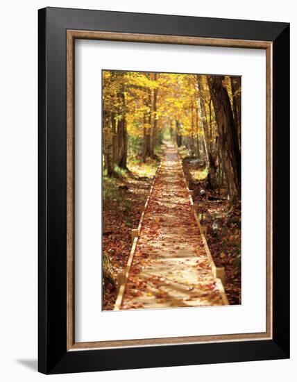 Boardwalk-Michael Hudson-Framed Art Print