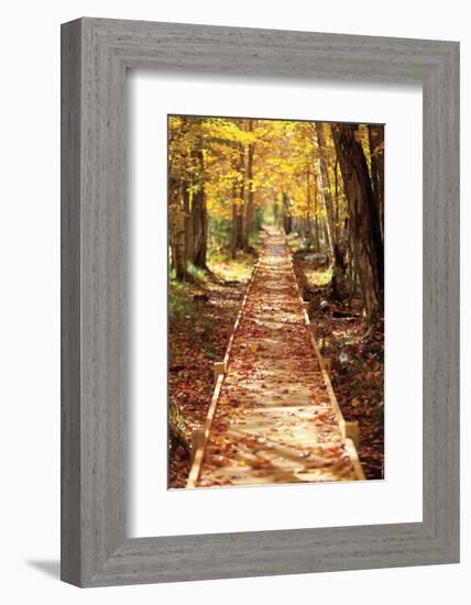 Boardwalk-Michael Hudson-Framed Art Print