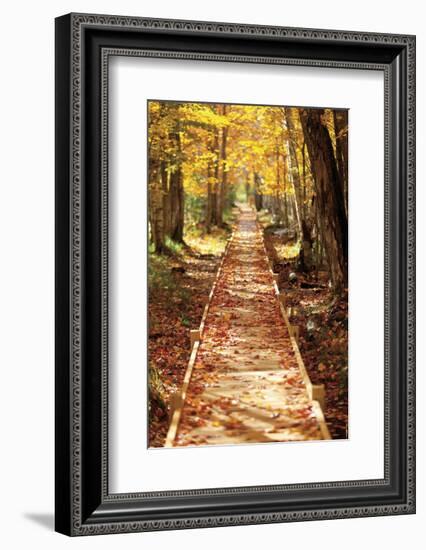 Boardwalk-Michael Hudson-Framed Art Print