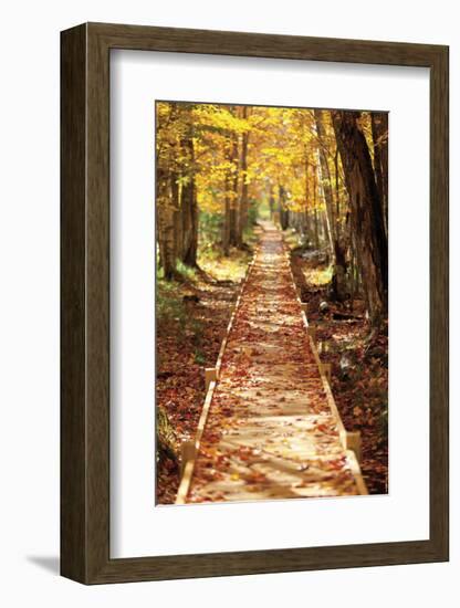 Boardwalk-Michael Hudson-Framed Art Print