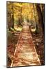 Boardwalk-Michael Hudson-Mounted Art Print