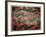 Boat, 2007-Graham Dean-Framed Giclee Print