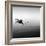 Boat and Heron II-Moises Levy-Framed Photographic Print