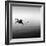 Boat and Heron II-Moises Levy-Framed Photographic Print