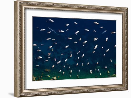 Boat Conference - Amalfi Coast-Verne Varona-Framed Art Print